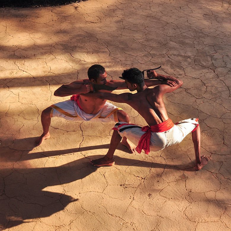 This is an image of Kalaripayattu training at Indimasi - The Ayurvedic healing village