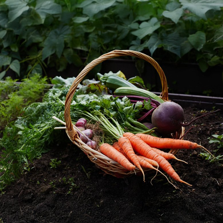 An image of organic farm at Indimasi - The Ayurvedic Healing Village